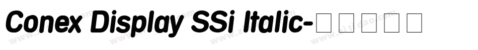Conex Display SSi Italic字体转换